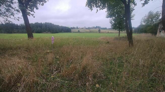 Siedlisko + druga działka budowlano - rolna.piękna okolica