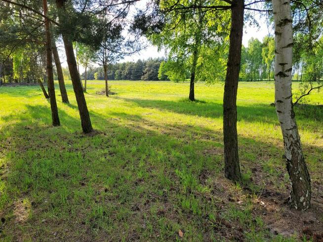 Działka BUDOWLANA Konary ul. Brzozowa 1500m2/ SOCHACZEW