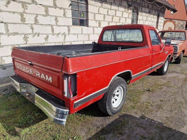 Dodge Ram D100 Rocznik 1987 Silnik 318 V8 Klasyczny Pickup