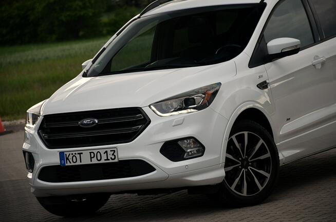 Ford Kuga 1,5*180KM*St-line*Bi-Xenon*Panorama*El klapa*Navi*4x4