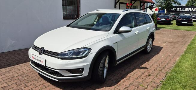 Volkswagen Golf Alltrack Zarejestrowany