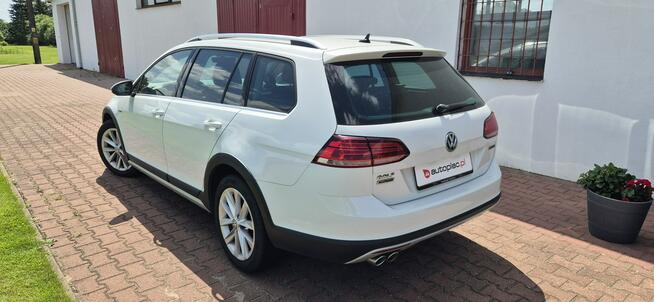 Volkswagen Golf Alltrack Zarejestrowany