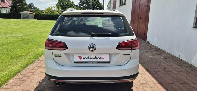 Volkswagen Golf Alltrack Zarejestrowany