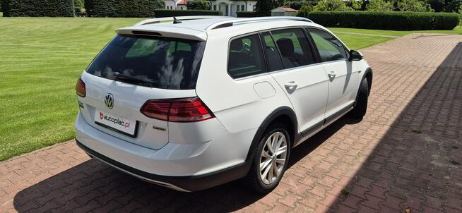 Volkswagen Golf Alltrack Zarejestrowany