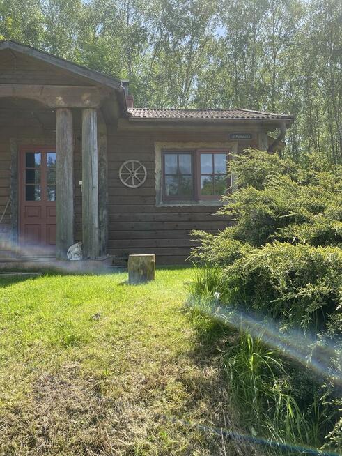 Domek w Borach Tucholskich na woda w lesie