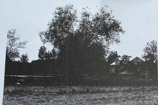 Okazja: Historyczny Dworek 179m² , dz. 0,8 ha w Sercu Polski