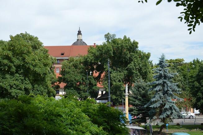 PIESZO NA UJ AGH, ROLINICZY, PK, UEK, UKEN Kraków Długa 82