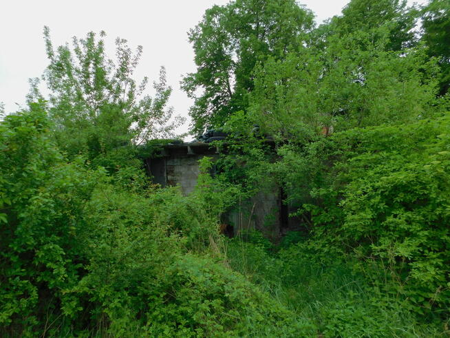 Syndyk sprzeda - Grabów nad Wisłą