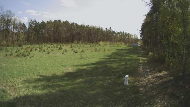 Działka budowlana 1000M2; WZ; BRZÓZA