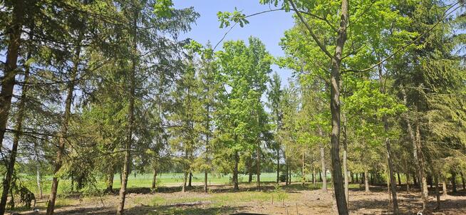 Działki bud. 1202M2; WZ; STUDNIE