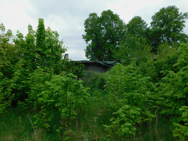 Syndyk sprzeda - Grabów nad Wisłą