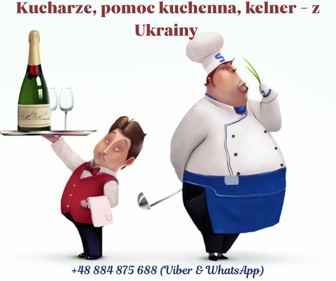 Szukam pracy dla klienta-kucharza z Ukrainy