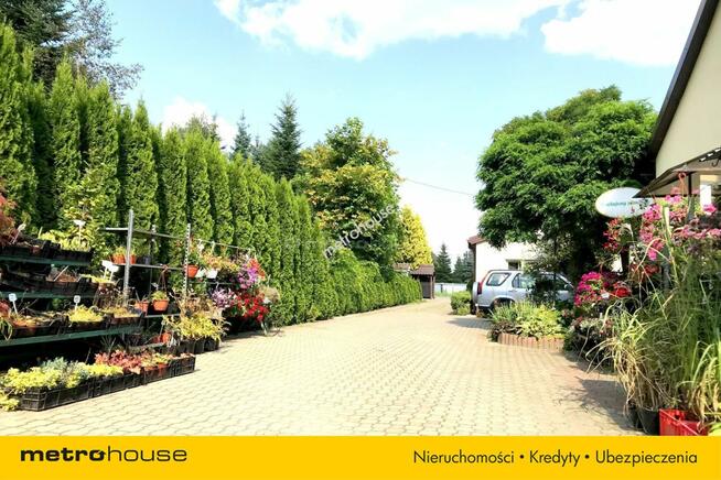 Dom,biznes i inwestycja na jednej działce 4390 m²