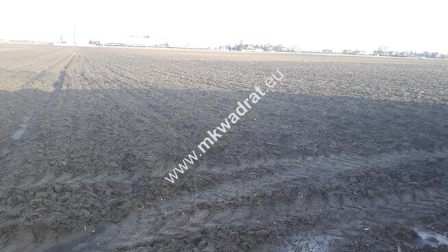 Działka rolna do wynajęcia 9730 m² 0,46 gr.za m²