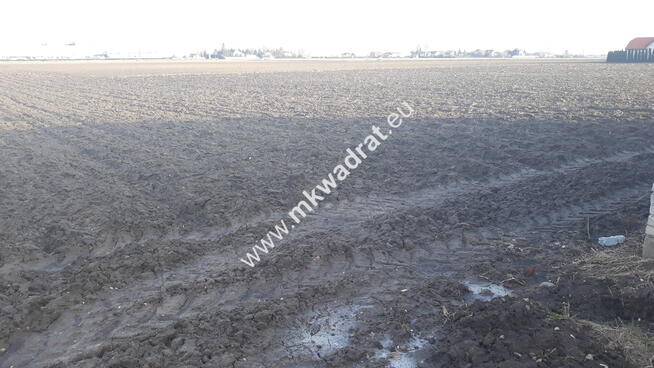 Działka rolna do wynajęcia 9730 m² 0,46 gr.za m²