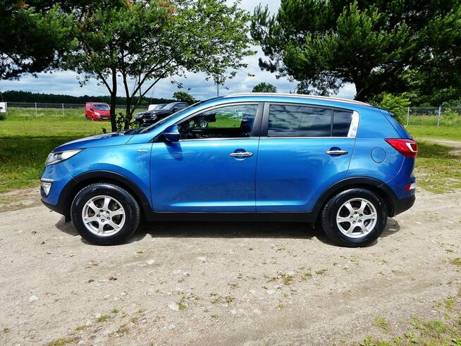 Kia Sportage 2.0 MPI 4x4*Climatron*Alu*Xenon*Skóry*Navi*P.Elektryka*TopStan*ZOBACZ!