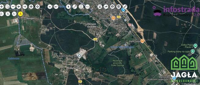 Działka Olimpin gm. Nowa Wieś Wielka