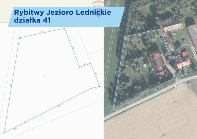 Siedlisko z funkcją usługową Rybitwy