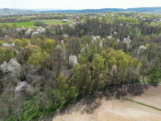 Działka leśna Zawada gm. Tarnów