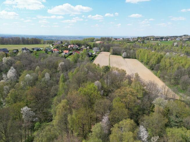 Działka leśna Zawada gm. Tarnów
