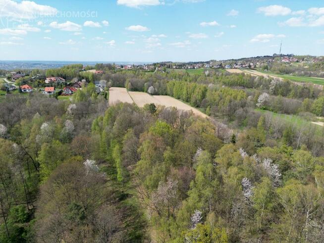 Działka leśna Zawada gm. Tarnów