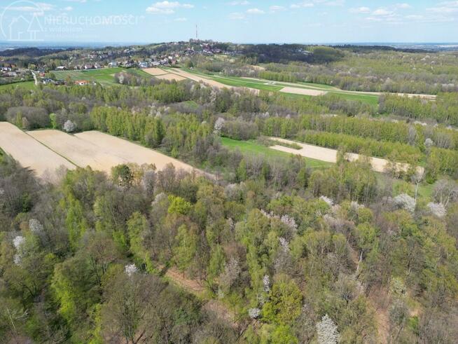 Działka leśna Zawada gm. Tarnów