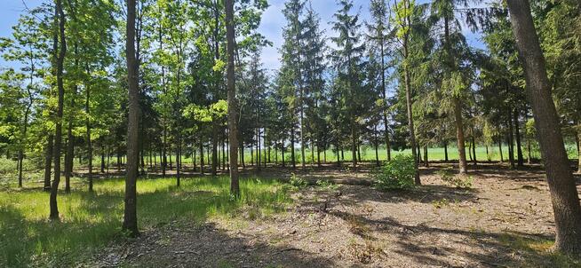 Działki bud. 1202M2; WZ; STUDNIE