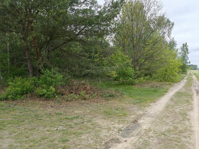 Syndyk sprzeda - Łacha