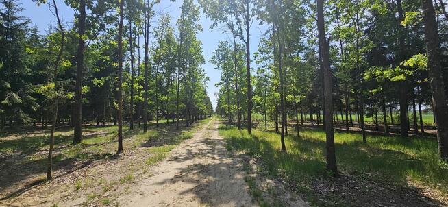 Działki bud. 1202M2; WZ; STUDNIE
