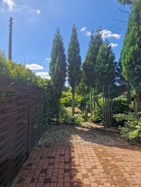 Ogródek działkowy – ROD Ziemia Bytomska, Nowy Bytom | 396 m²