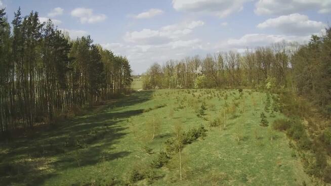 Działka budowlana 1000M2; WZ; BRZÓZA
