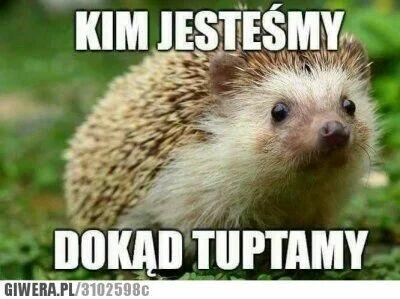 Mężczyzna