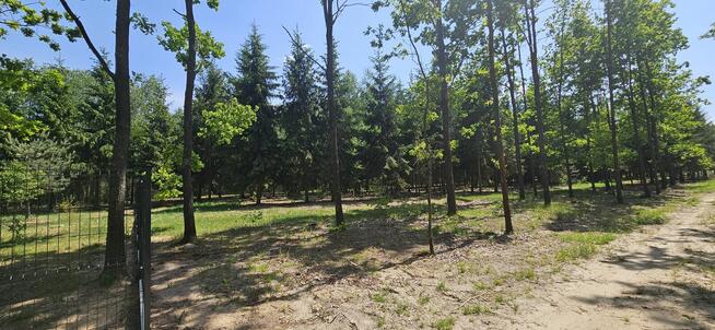 Działki bud. 1202M2; WZ; STUDNIE
