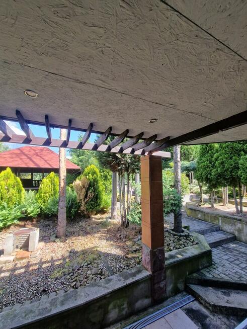Ogródek działkowy – ROD Ziemia Bytomska, Nowy Bytom | 396 m²