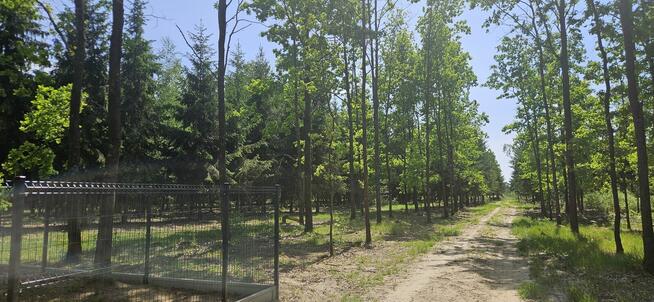 Działki bud. 1202M2; WZ; STUDNIE
