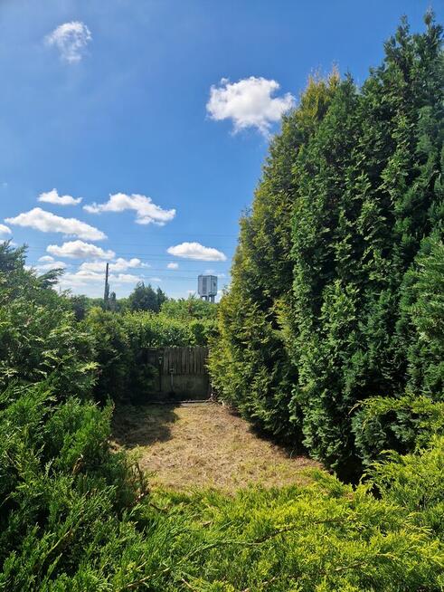 Ogródek działkowy – ROD Ziemia Bytomska, Nowy Bytom | 396 m²