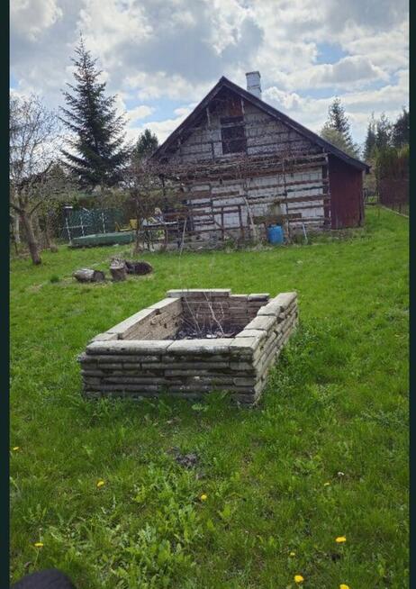 Działka ROD Radom sprzedaż