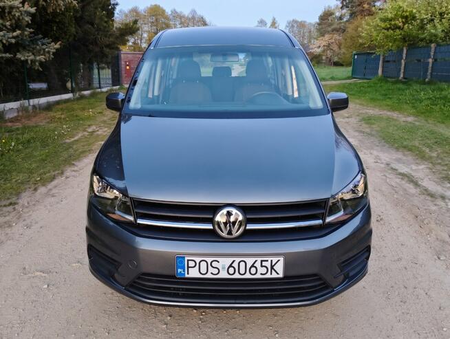Caddy Maxi przewóz osób niepełnosprawnych