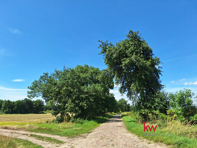 Działka inwestycyjna Murzynowo gm. Skwierzyna,