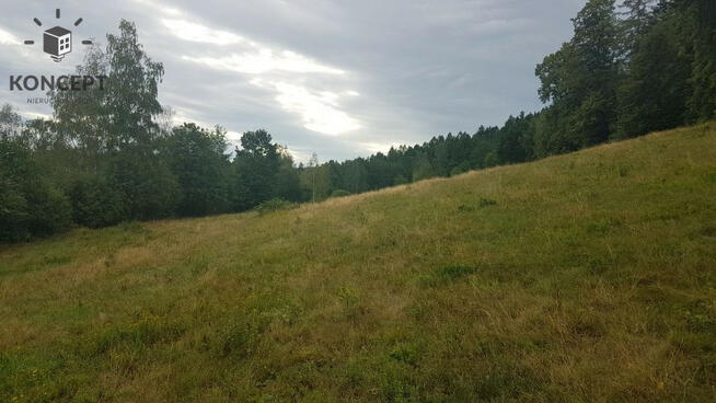 Podgórzyn. Działka z wydanymi warunkami zabudowy.