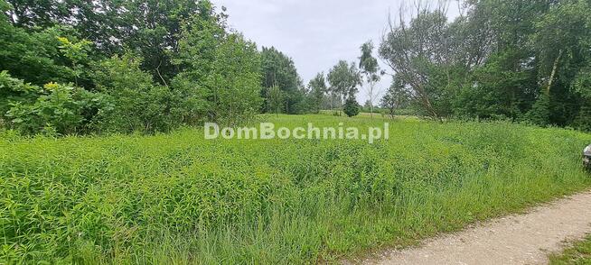 Działka rolna Borek gm. Rzezawa