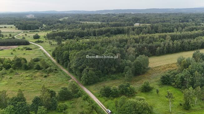 Działka rolna Borek gm. Rzezawa