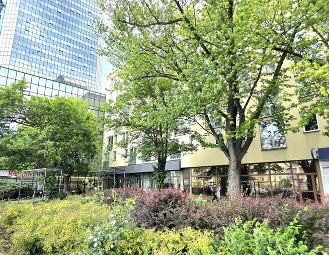 Plac Bankowy: jasne, po remoncie | wysoki standard