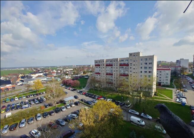 kawalerka opole