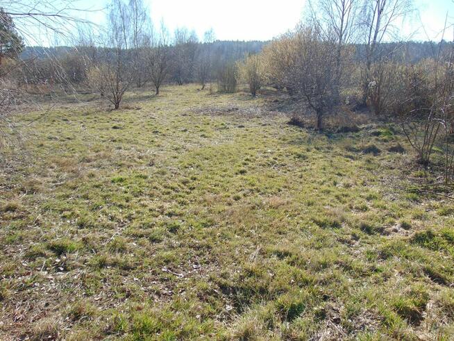 Na sprzedaż działka 4400 m2 — okolice Zielonej Góry