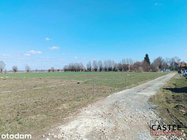 3 działki I Markusy I TYLKO 90 zł/ m2 I 17km od Elbląga