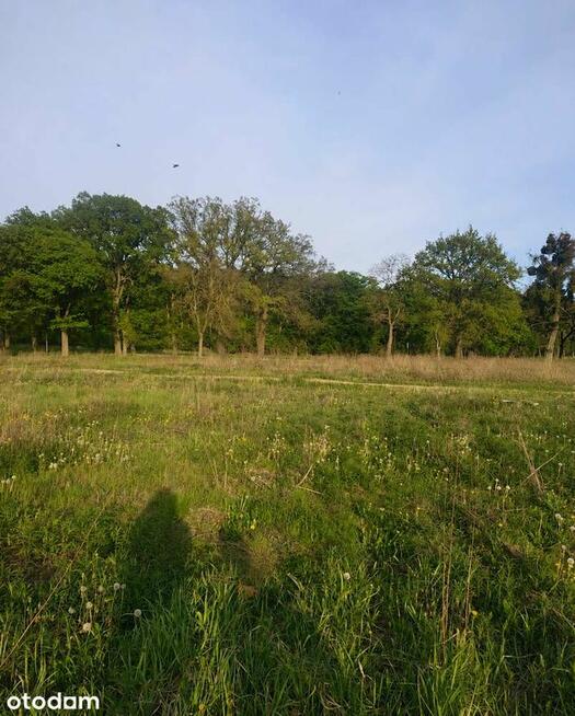 DZIAŁKA BUDOWLANA 1005 m² | WĘGROWO