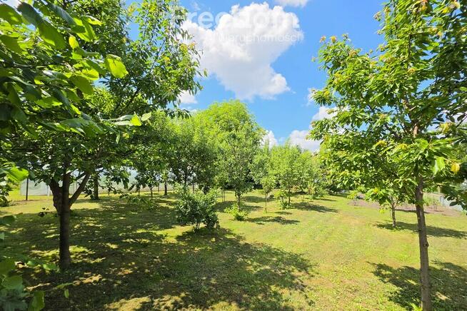Dom z dużym ogrodem w centrum | 930 m² działki