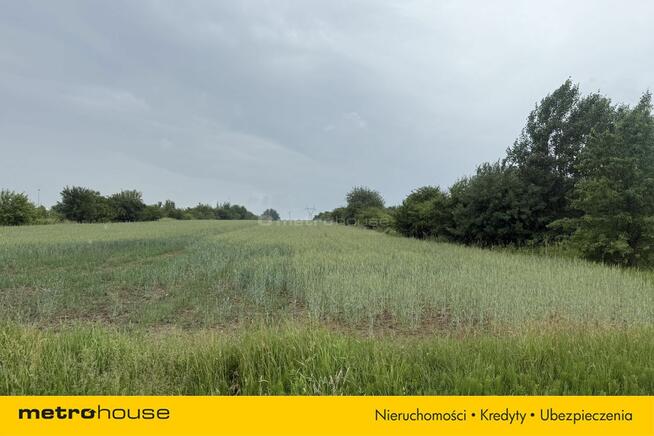 2,17 HA MPZP DK12 S8 LOGISTYKA PRODUKCJA
