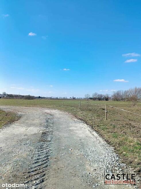 3 działki I Markusy I TYLKO 90 zł/ m2 I 17km od Elbląga